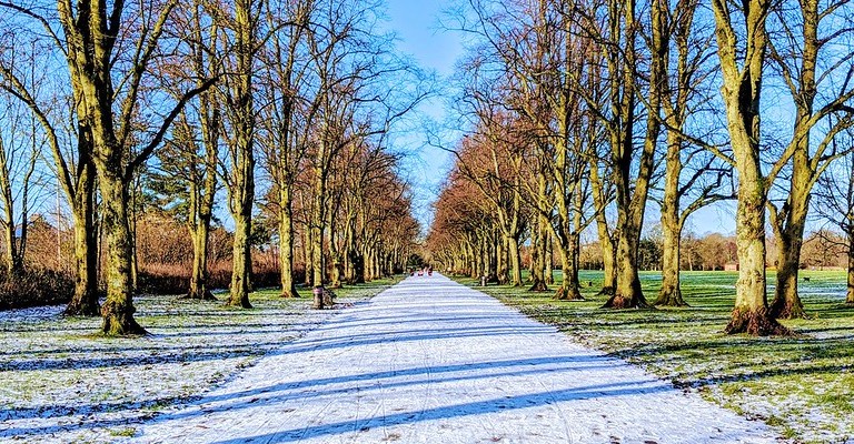 Lncashire in Preston